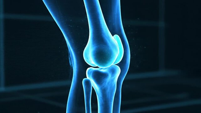 Medical illustration of a human knee joint in a glowing blue color.