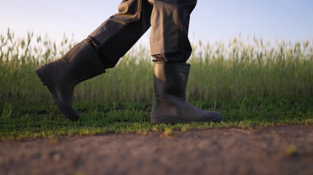 Walking with boot in field along dirt path with grass and wheat farmer step shows gait and purpose boot sole touching soil nature and farm detail at sunrise walking pace steady and deliberate