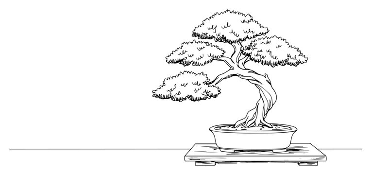 Bonsai Tree Drawing Images  Browse 212,121 Stock Photos, Vectors, and  Video | Adobe Stock