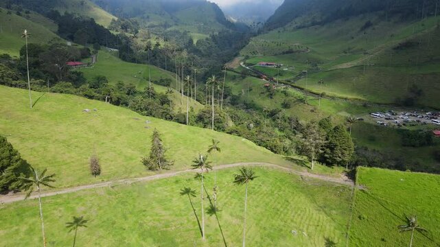 Aerial shot of Valle de Cocora showing tall palms and rolling green hills, a winding dirt path and red-roofed farm under low clouds and mist.