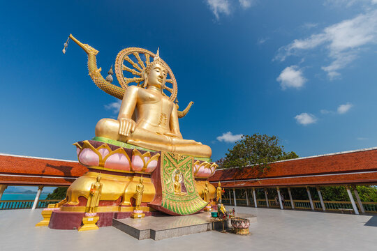 Golden Big Buddha statue on lotus base at Wat Phra Yai temple on Koh Samui island in Thailand