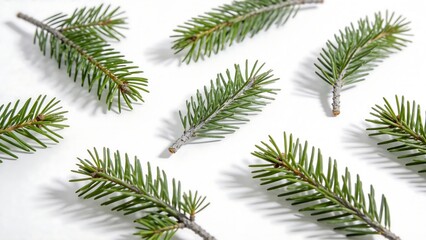 Obraz premium Green pine branches on white background
