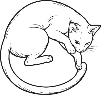 Havana Brown cat chasing tail line art black and white playful feline circle pose vector illustration