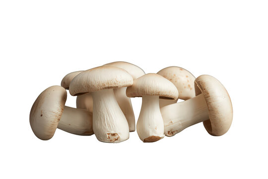 Group of fresh mushrooms showcasing natural produce, healthy eating, and gourmet ingredient for various recipes