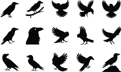 Fototapeta premium Raven Silhouette Icon Collection Set
