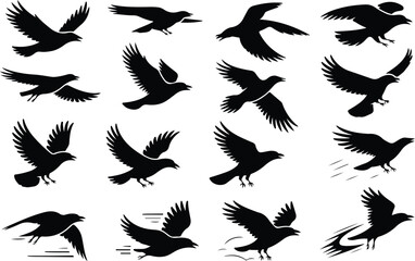 Fototapeta premium Raven Silhouette Icon Collection Set
