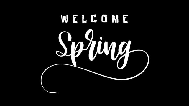 Welcomes spring text animation. Perfect for spring themed social media posts, greeting cards, or seasonal designs.