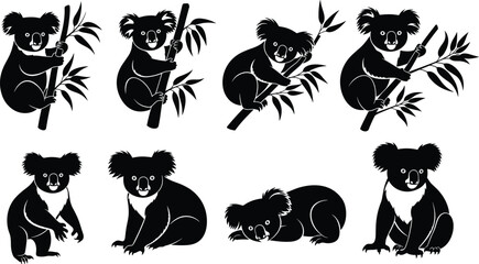 Obraz premium Vector set of black koala silhouettes in various poses including climbing eucalyptus branches, sitting, and lying down on white background.