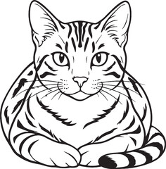 Obraz premium Bengal Cat Loaf Sitting Front View Vector Illustration
