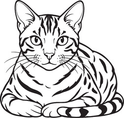 Obraz premium Bengal Cat Loaf Sitting Front View Black and White Line Art Vector Illustration