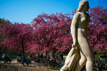 Une statue devant des arbres en fleurs aux premiers jours du printemps dans le parc de Reuilly à Paris en France © Pierre Laborde 