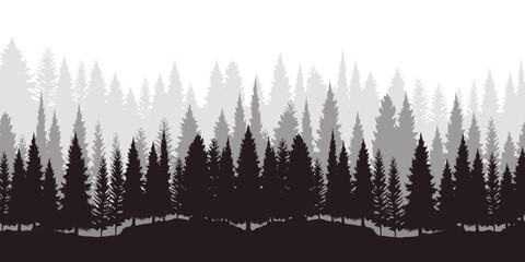 Pine trees silhouette in a forest. Spruce nature landscape. Evergreen coniferous vector. Seamless composition isolated on white background