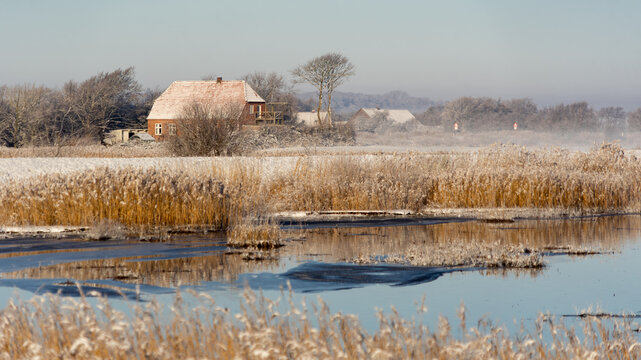 Golden hour at Wadden Sea National Park: Misty winter sunrise over Danish marshland and river 