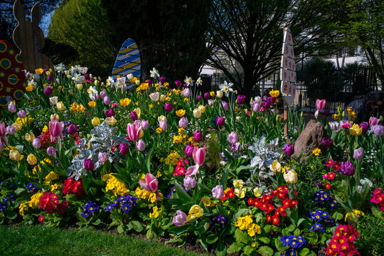un parterre de fleurs au premiers jours du printemps dans le parc de Reuilly &agrave; Paris en France