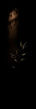 Shadows cradle a single, stark olive branch, light piercing the gloom like a whispered plea for respite,  nature,  dramatic