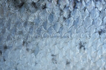 macro texture of trout fish scales with natural gradient from light silver to dark tones. Detailed close-up of fresh red fish skin with shiny, wet surface and organic pattern. Perfect for backgrounds, © Анна Климчук