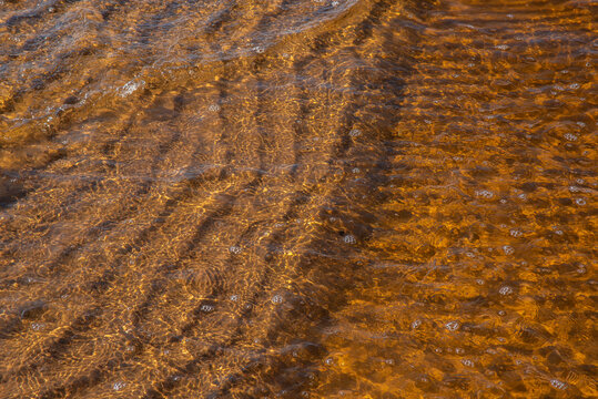Sunlit shallow water over sandy bottom creating golden ripples, bubbles, and natural abstract texture.