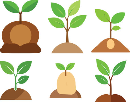 Set of Growing Plant Seedlings and Saplings in Soil for Gardening and Eco Concepts