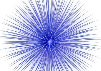Fototapeta premium Blue burst isolated on white background
