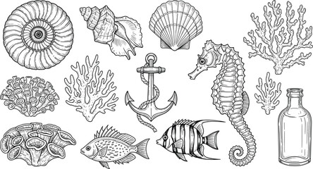 Large collection of vintage hand drawn nautical elements featuring seahorse anchor shells coral fish and bottle for maritime logos coastal branding and seafood menus © Hosneara