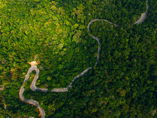 Fototapeta premium Sinuous mountain road twisting through lush forest canopy aerial