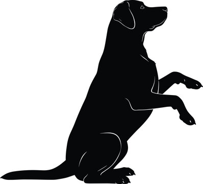 Black silhouette of a Labrador retriever dog sitting and begging with paws up representing pet training obedience loyalty and domestic animal