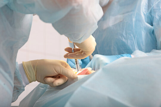 Anesthesia before surgery. Surgical operation in a dental clinic. A surgeon and an assistant. Hands in protective gloves. Modern dentistry. The concept of healthcare.