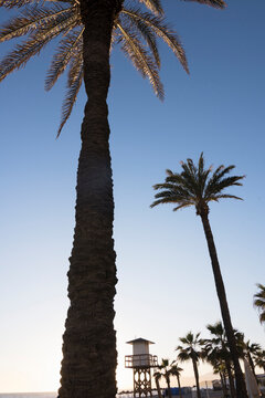 Playa de Torrox, M&aacute;laga