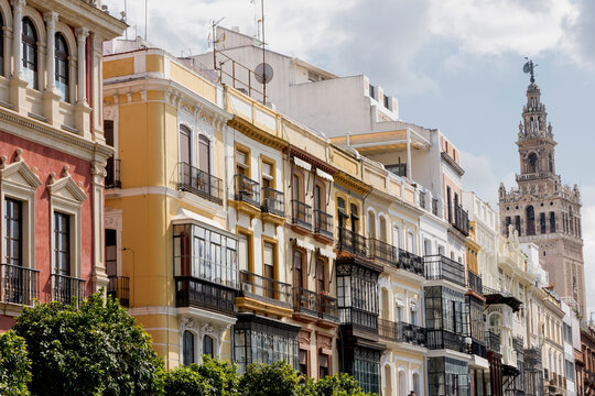 Calle de Hernando Col&oacute;n, Sevilla