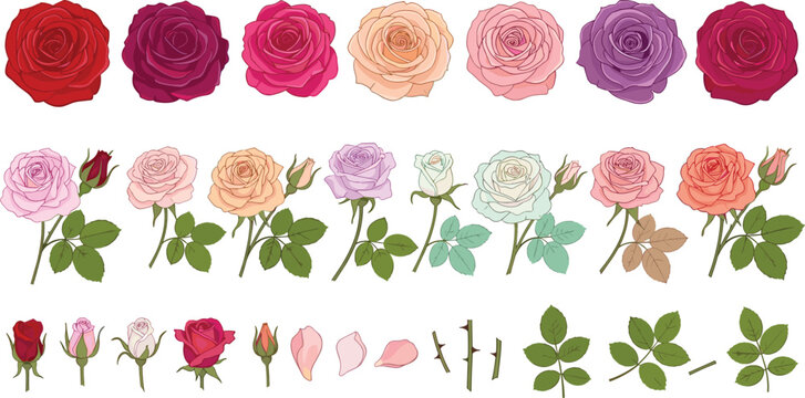 Elegant Rose Floral Element Vector Kit Featuring Individual Rose Heads Buds Stems and Leaves in Multiple Colors for DIY Wedding Stationery and Custom Botanical Pattern Designs