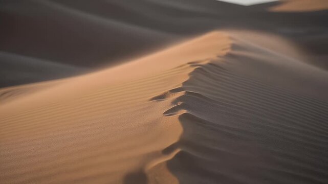 Desert sand dune landscape textured patterns and golden light