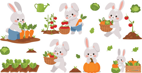 Obraz premium Cute cartoon rabbits harvesting vegetables with baskets, carrots, pumpkins, and garden elements in playful flat vector illustration style