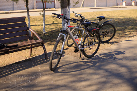 Bicycles parked on a lawn in a public park. Active outdoor games and cycling