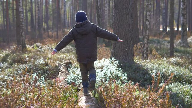 Young Boy Balancing on Fallen Log in Sunlit Boreal Forest with Arms Outstretched &mdash; Child Playing Outdoors in Winter Pine Forest, Lichen-Covered Floor, Freedom and Adventure Concept