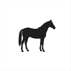 Obraz premium A majestic equine silhouette stands gracefully in profile, showcasing its elegant form and powerful presence as an isolated graphic representation.