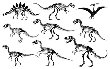 Dinosaur skeletons vector set featuring dino bones, tyrannosaurus skeleton and stegosaurus fossil, ancient animal remains illustration for paleontology, museum design and prehistoric education © Raxzen
