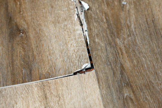 buckled laminate floor with torn planks and visible crack caused by heated floor expansion. closeup of damaged floor covering with lifted edges