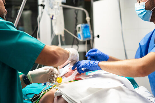 Medical staff intubating patient working during emergency care
