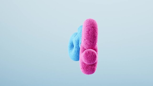 3d plush female and male symbols merge and rotate together, showing unity and relationship in gender interaction concept