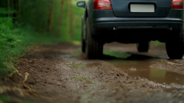 Cinematic UHD Macro of Off-road Tire Treads Gripping Wet Mud in Natural Forest