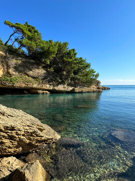 The crystal clear waters of the Adriatic Sea and the rocky coastline, with pine trees growing on the shore.
