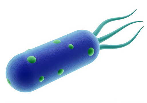 Blue stylized illustration of a spirochete bacterium with greenish spiral structure
