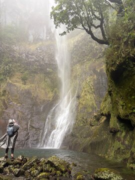 Hiking the scenic 25 Fontes levada trail through the ancient Laurissilva forest in Madeira