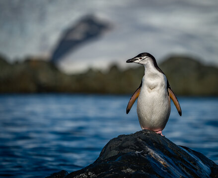 Continental Landing , Partal Point Antartica on a calm sunny day