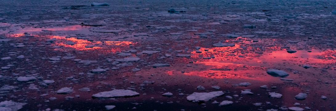 Sunrise, Charcot Bay Zodiac cruise Antartica with lots of icebergs