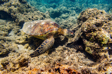 Kauai, Hawaii, Anini Beach © Christopher