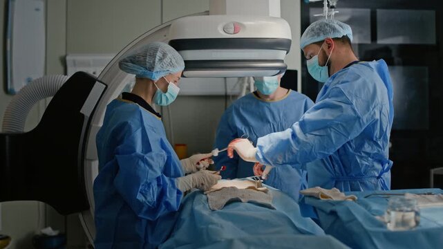 Medium shot of two surgeons and anesthetist gathering around operating table and performing surgery on patient