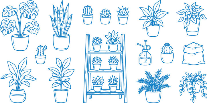 Various potted plants and planters on shelves and around with different types of foliage and pots for decoration and gardening concepts