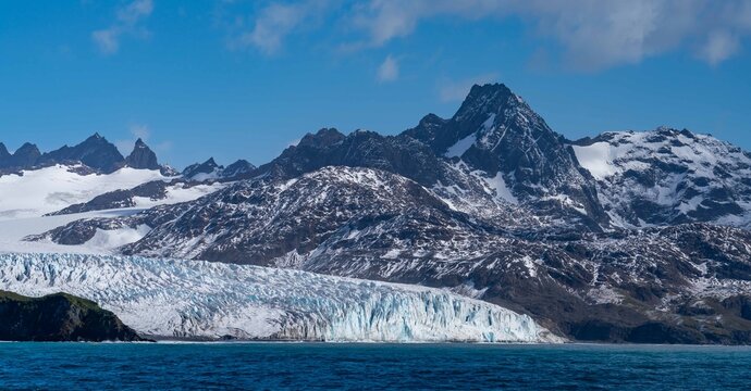 highlights from an antarctic cruise 