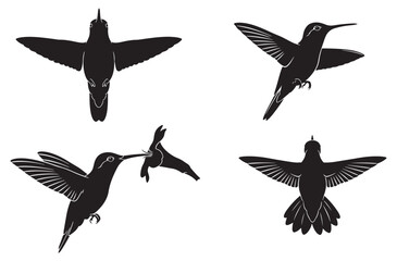 Hummingbird silhouette collection showing small birds hovering and drinking nectar from flowers with delicate wing details and long beaks for nature and garden themed design projects © Amdadul